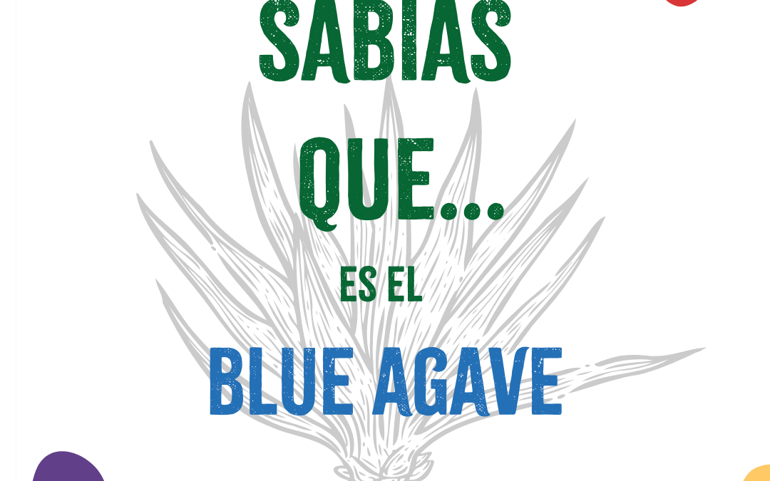 ¿Sabías que…es Blue Agave?
